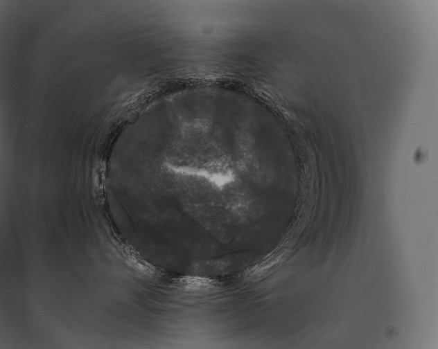 X0000094360528200711241940