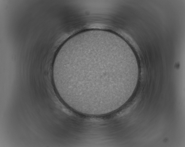 X0000094360529200711241939