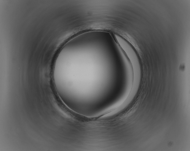 X0000094360530200711241939