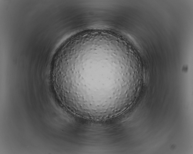 X0000094360531200711241939