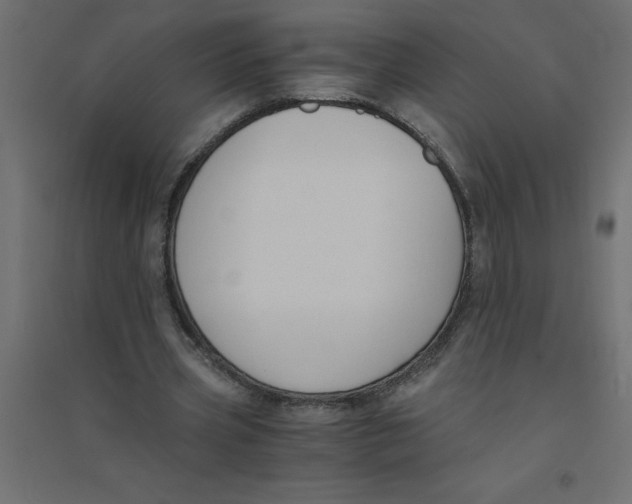 X0000094360533200711241939