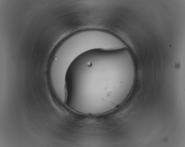 X0000094360534200711241939