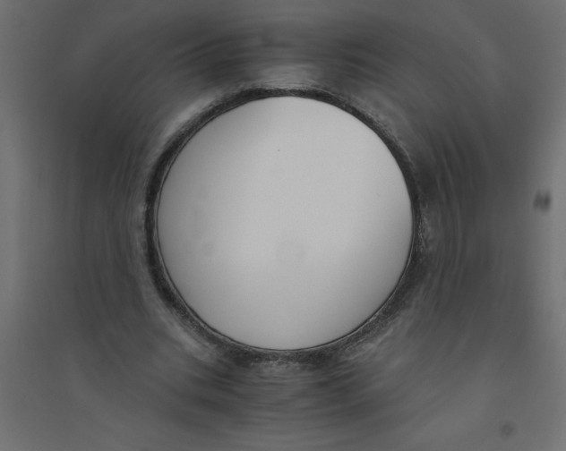 X0000094360535200711241939