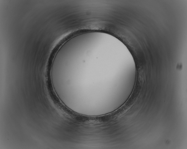 X0000094360536200711241939