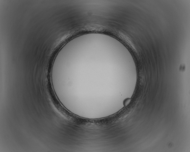 X0000094360538200711241939