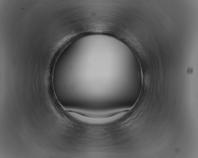 X0000094360540200711241939