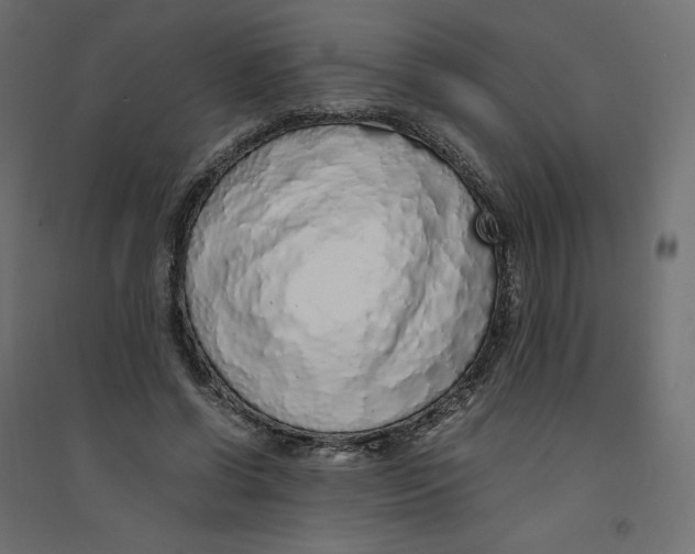 X0000094360542200711241939