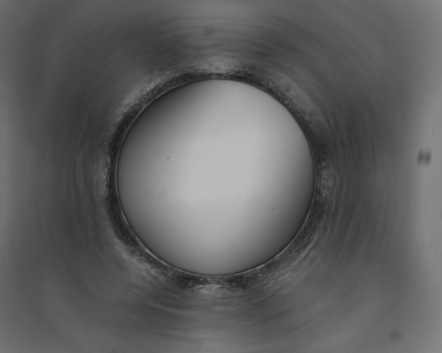 X0000094360544200711241939