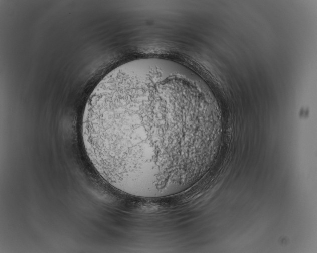 X0000094360547200711241939