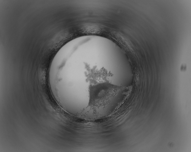 X0000094360551200711241939