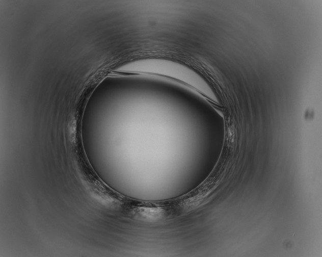 X0000094360552200711241939