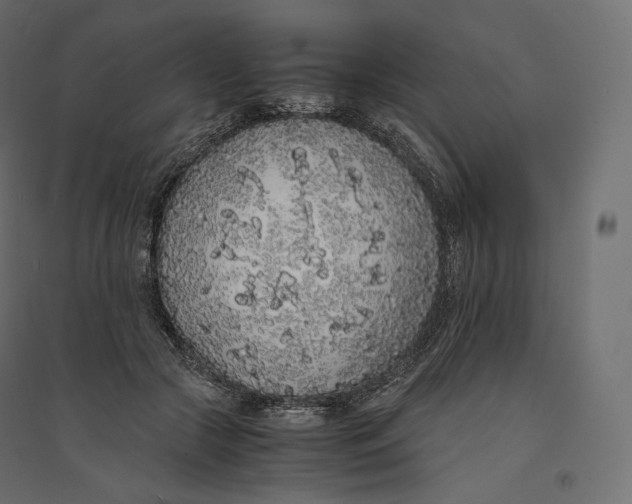 X0000094360553200711241939