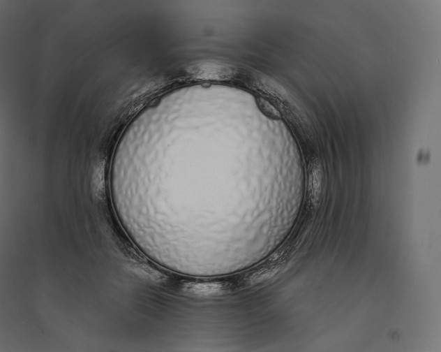 X0000094360554200711241939