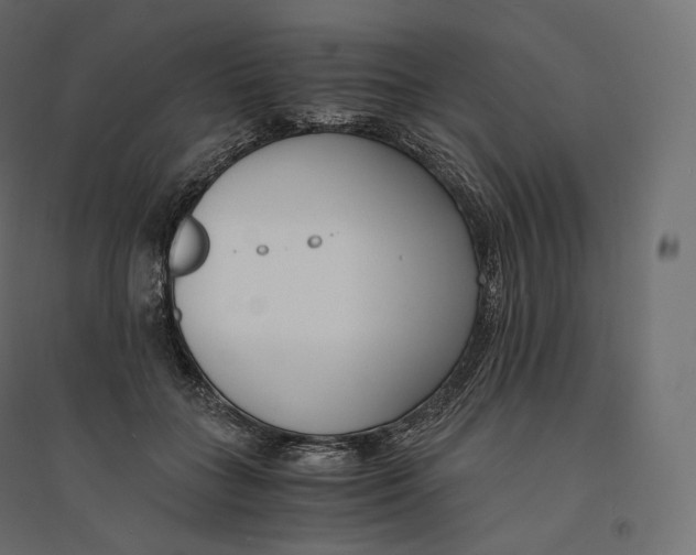 X0000094360555200711241939