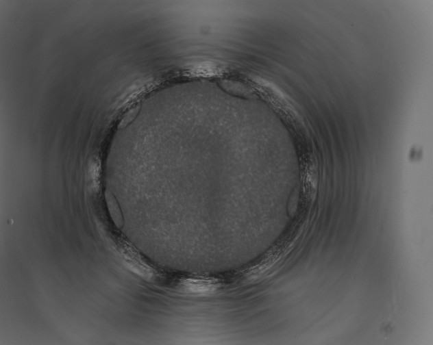 X0000094360556200711241939