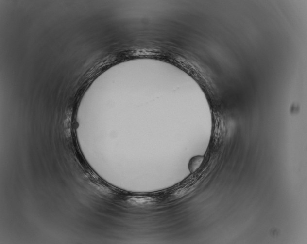 X0000094360557200711241939