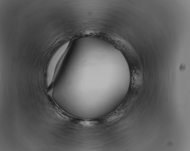 X0000094360558200711241939