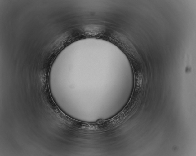 X0000094360559200711241939