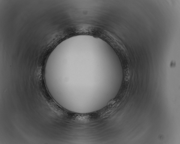 X0000094360560200711241939