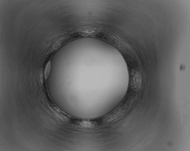 X0000094360562200711241939