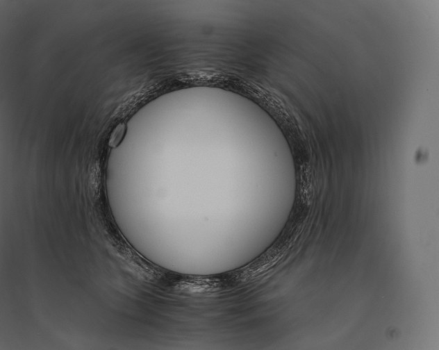 X0000094360563200711241939