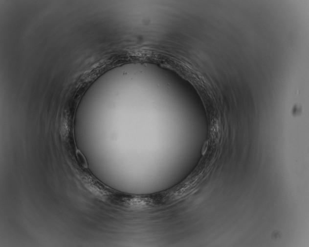 X0000094360566200711241939