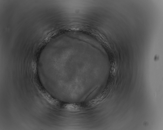 X0000094360568200711241940