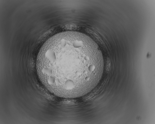 X0000094360569200711241940