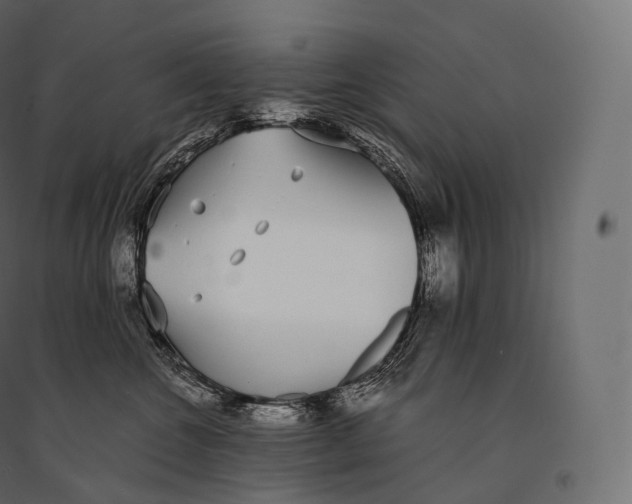 X0000094360572200711241940