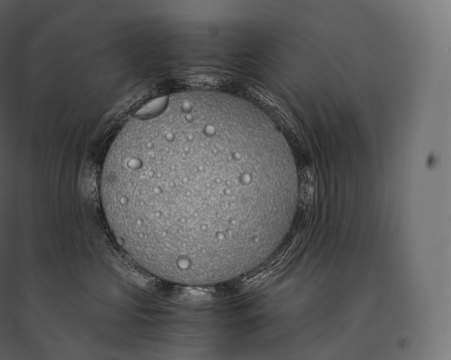 X0000094360573200711241940