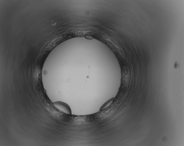 X0000094360574200711241940