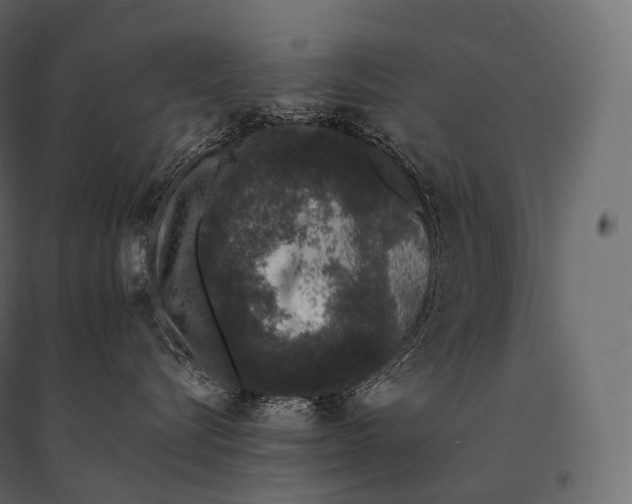 X0000094360576200711241940