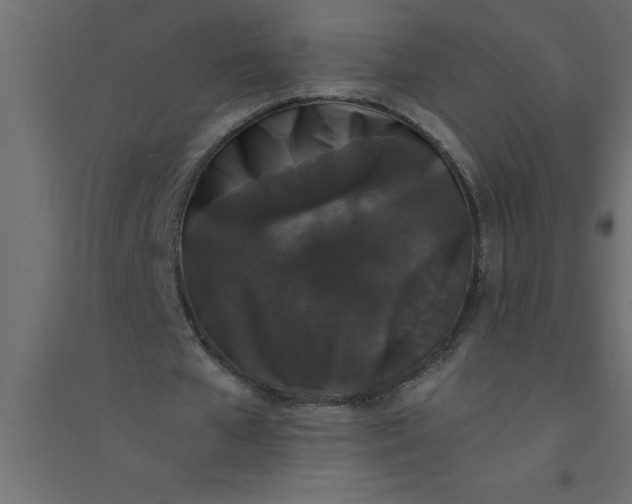 X0000094360577200711241939