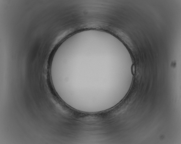 X0000094360578200711241939