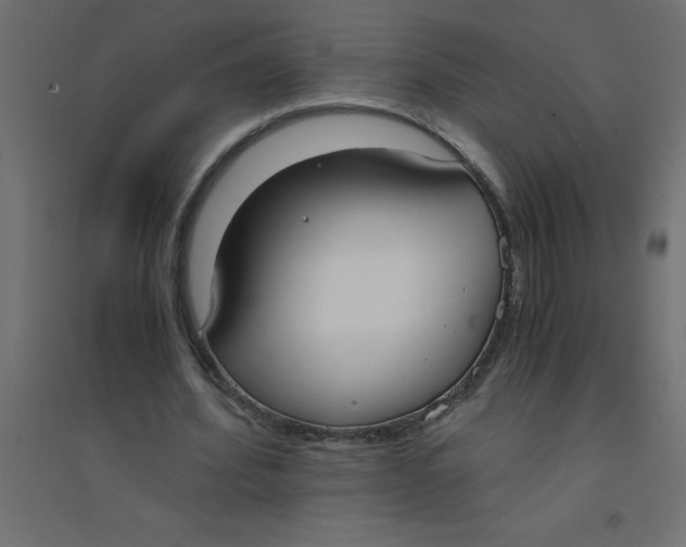 X0000094360580200711241939