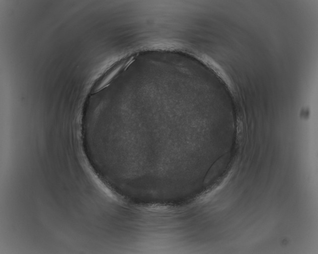 X0000094360581200711241939