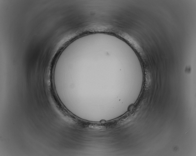 X0000094360582200711241939