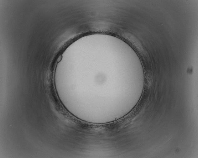 X0000094360583200711241939