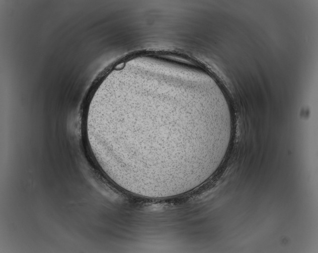 X0000094360584200711241939