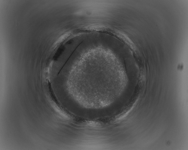 X0000094360585200711241939