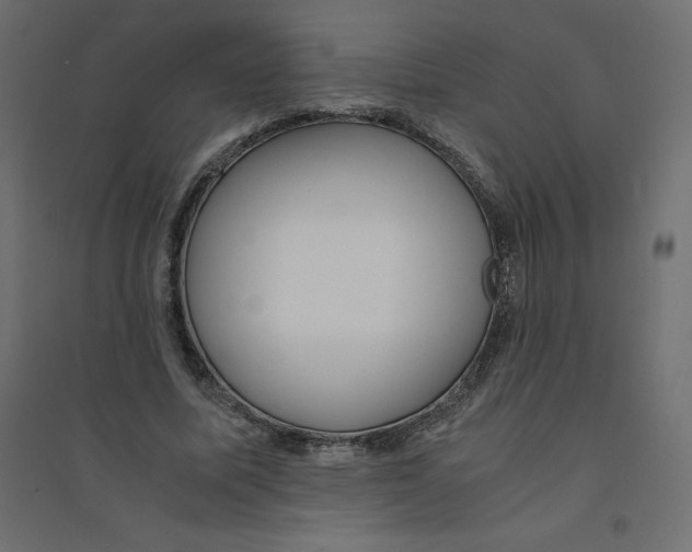 X0000094360587200711241939