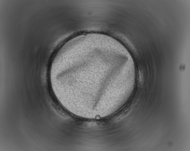 X0000094360588200711241939