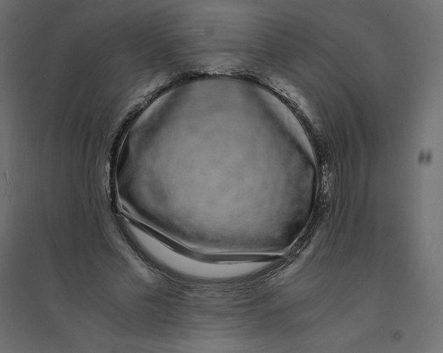 X0000094360589200711241939