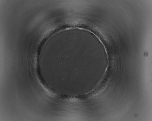 X0000094360590200711241939