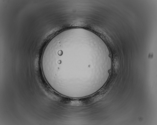 X0000094360591200711241939