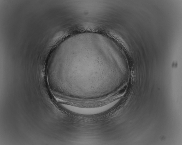 X0000094360593200711241939