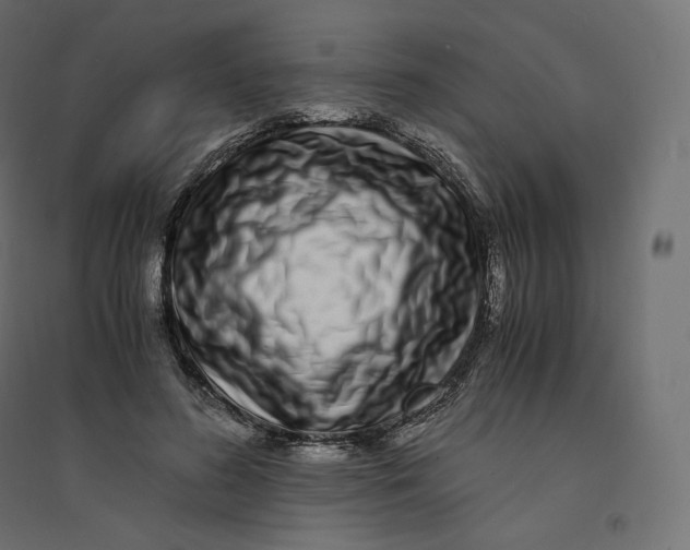 X0000094360596200711241939