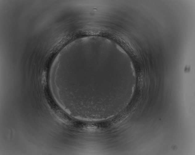 X0000094360598200711241939