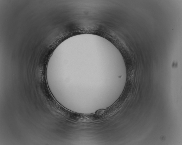 X0000094360599200711241939