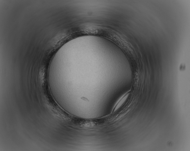 X0000094360600200711241939